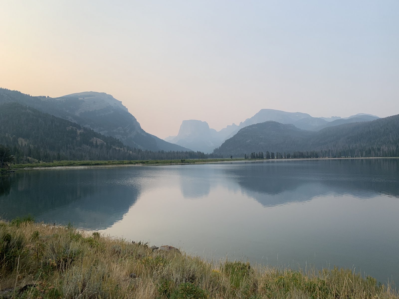 Ran into a cow moose less than a mile from the trailhead. There was a 
larger bull following her, but by the time I saw him I realized I needed
 to be moving along - they clearly intended to cross the trail exactly 
where I was standing.